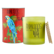  Ароматическая свеча Ambientair Parrot - цитрусовый Wild, 40 ч - арт.VV040CPAW, фото 1 