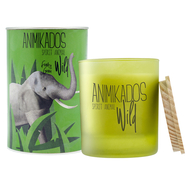  Ароматизированная свеча Ambientair Elephant - свежий Wild, 40 ч - арт.VV040FEAW, фото 1 