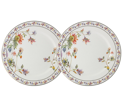  Набор закусочных тарелок Anna Lafarg Primavera Флора, фарфор, белая, 20.5см - 2шт, фото 1 