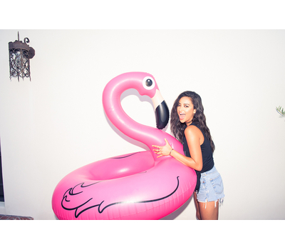  BigMouth Круг надувной Pink Flamingo, фото 12 