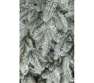  Triumph Tree Искусственная елка Нормандия Пушистая 100% литая 230см заснеженная, фото 5 
