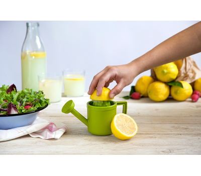  Соковыжималка для лимонов Peleg Design Lemoniere, фото 10 