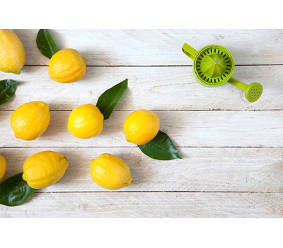  Соковыжималка для лимонов Peleg Design Lemoniere, фото 12 