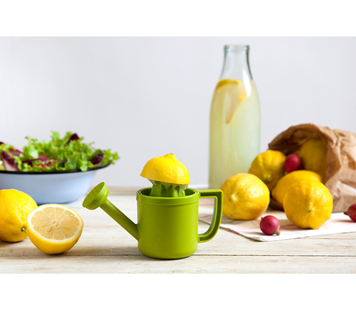  Соковыжималка для лимонов Peleg Design Lemoniere, фото 8 