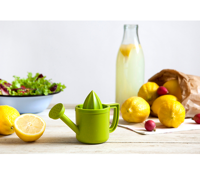  Соковыжималка для лимонов Peleg Design Lemoniere, фото 7 