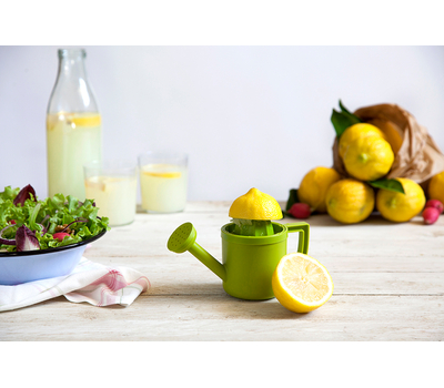  Соковыжималка для лимонов Peleg Design Lemoniere, фото 9 