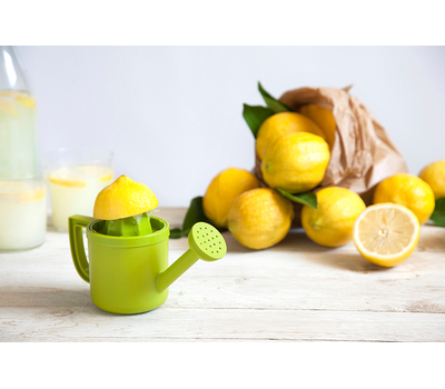  Соковыжималка для лимонов Peleg Design Lemoniere, фото 11 