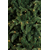  Triumph Tree Искусственная елка Нормандия Стройная 305см 576 ламп темно-зеленая, фото 2 
