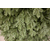  Triumph Tree Искусственная елка Царская 100% литая 260см зеленая, фото 6 